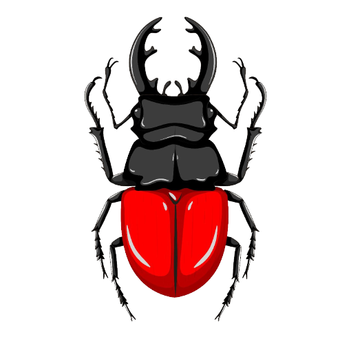 Beetles-removebg-preview