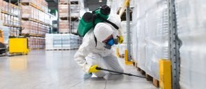 How Our Pest Control Services in Dubai Can Help