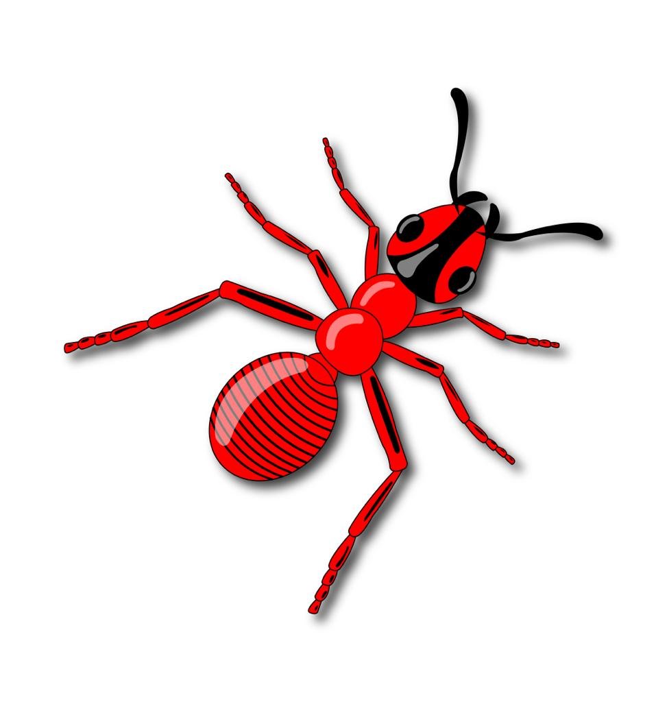 ants-pest-contro