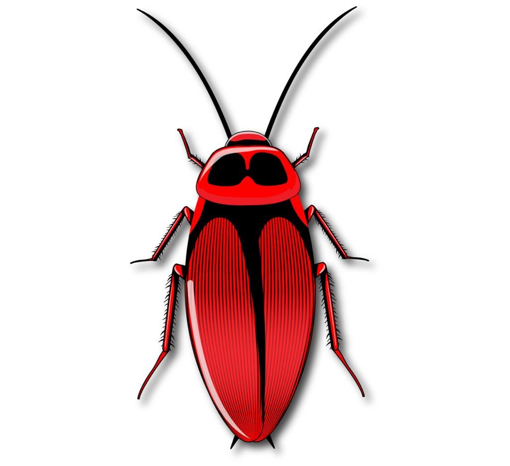 cockroaches-pest-control