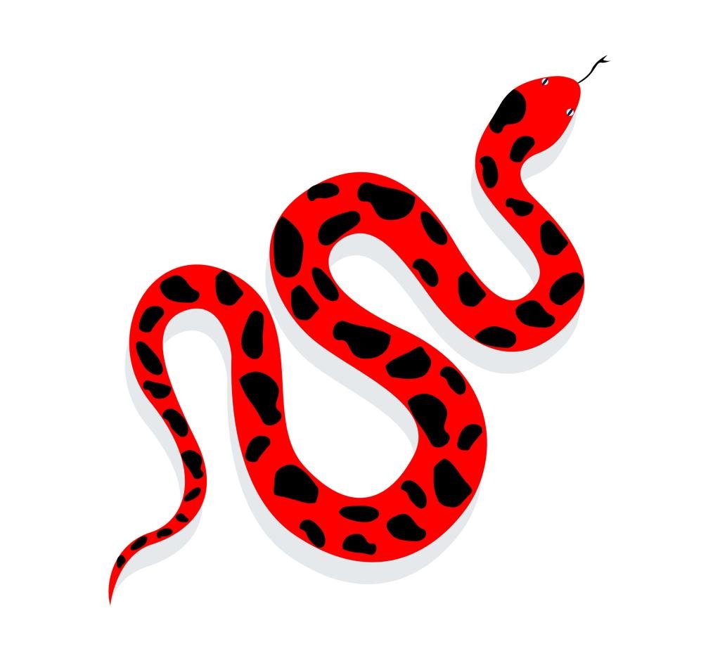 snake-pest-contro
