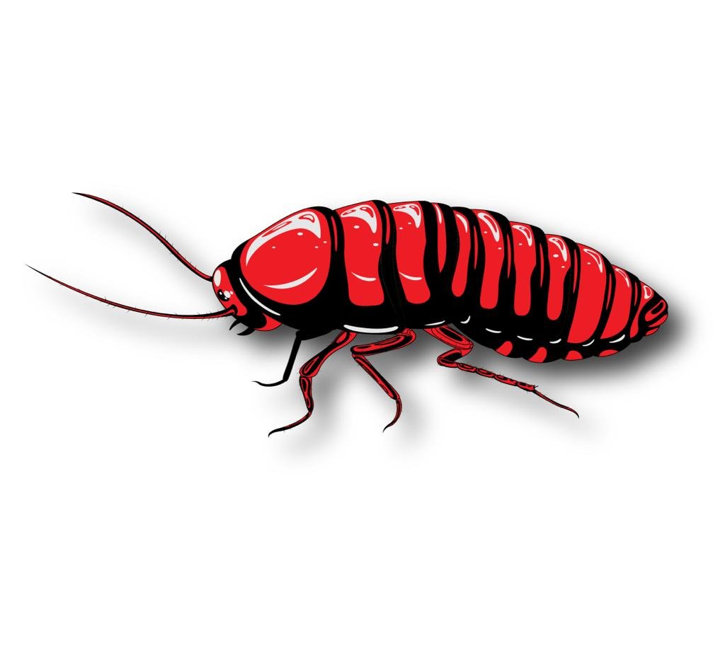 termite-pest-control